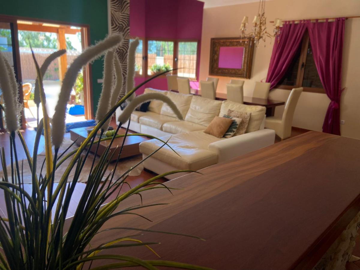 Las Playas Villa Ingrid. Piscina Exterior. מראה חיצוני תמונה